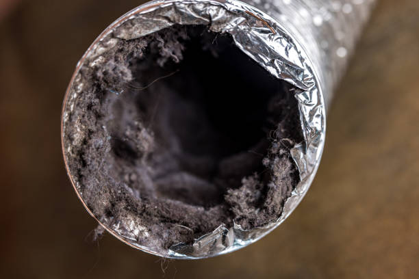 Professional Airduct Cleaning in Afton, MN